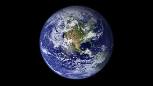 Let's save the Earth and all its beautiful species and in the process save ourselves!